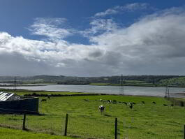 Photo 26 of  Low Road, Islandmagee