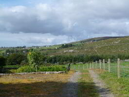 Photograph 1, 264 Head Road, Annalong