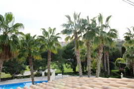 Photo 14 of Luxury Villa, Villamartin, Costa Blanca