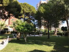 Photo 18 of Bargain, Studio Apar Campoamor Orihuela Costa Campoamor, Ca, Orihuela Costa
