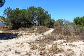 Photo 1 of Bargain Plot, Orihuela Costa, Costa Blanca