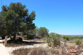 Photo 3 of Bargain Plot, Orihuela Costa, Costa Blanca