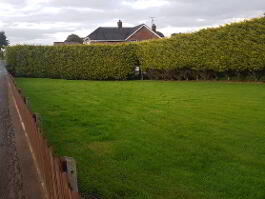 Photo 11 of 50 Aghareaney Road, Donaghmore , Dungannon