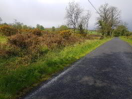 Photo 10 of  Fecarry Road, Omagh