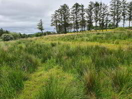 Photo 2 of  Lands At Loughmallon Rd , Creggan, Omagh