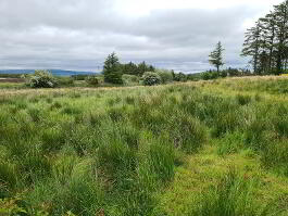 Photo 3 of  Lands At Loughmallon Rd , Creggan, Omagh