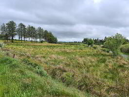 Photo 4 of  Lands At Loughmallon Rd , Creggan, Omagh