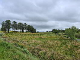 Photo 6 of  Lands At Loughmallon Rd , Creggan, Omagh