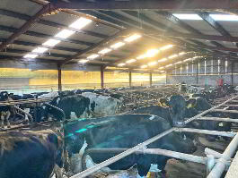 Photo 60 of Creevenmore Farm  Crucknamona Road , Omagh
