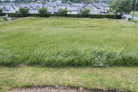 Photograph 1, 230A Brollagh Road