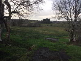 Photograph 1,  Tullystranadega