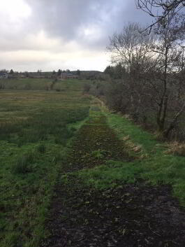 Photograph 1,  Tullystranadega