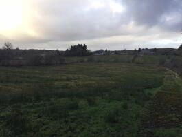Photograph 1,  Tullystranadega