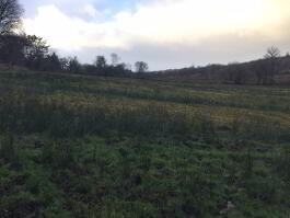 Photograph 1,  Tullystranadega