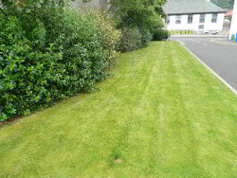 Photograph 1, 19 Gorran Mews