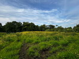 Photo 5 of 30M Se Of 64  Hospital Road, Omagh