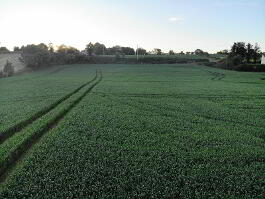 Photo 14 of  Tievenny Road, Ardstraw