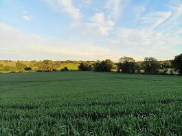 Photo 17 of  Tievenny Road, Ardstraw