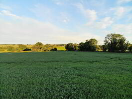 Photo 11 of  Tievenny Road, Ardstraw