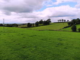 Photograph 1, 168 Newtownsaville Road, Eskra