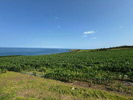 Photo 16 of  11 Higginsons Lane, Islandmagee