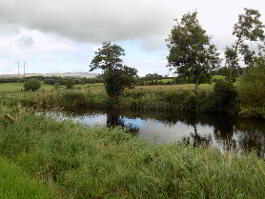 Photo 65 of 104 Crevenagh Road, Omagh