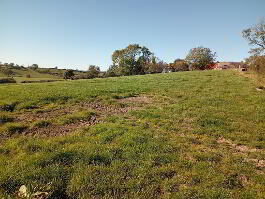 Photograph 1,  Lough Road