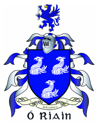 Ó'Riain Auctioneers & Estate Agents Logo