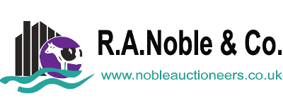 R A Noble & Co Logo