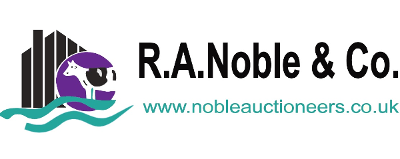 R A Noble & Co logo