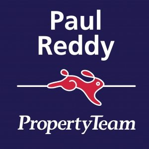Agent Logo