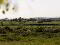 Photo 5 of The Paddocks, Newtownards