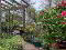 Photo 36 of 7 Fruithill Park, Bangor