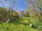 Photo 19 of 9 Movilla Road, Portstewart