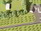 Photo 1 of Site South East Of 27 Opposite 18, Kilmore Road, Kilmore