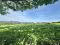 Photo 1 of 15 Burnhead Road, Gortin