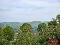 20250430_130301.jpg