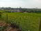 Photo 13 of 113 Eshnadarragh Rd, Roslea