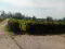 Photo 11 of 113 Eshnadarragh Rd, Roslea