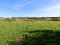 Photo 4 of Beaghmore Road, Tulnacross, Cookstown