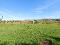 Photo 5 of Beaghmore Road, Tulnacross, Cookstown