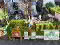 Photo 5 of 9 Ardenvohr Street, Woodstock Road, Belfast