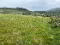 Photo 6 of Hilltown Road, Bryansford