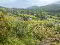 Photo 4 of Hilltown Road, Bryansford