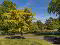 Photo 61 of 10 Park Drive, Bangor