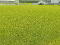 Photo 3 of Castlebalfour Road, Lisnaskea