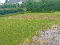 Photo 5 of Castlebalfour Road, Lisnaskea
