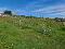 Photo 7 of Adj, To78a Ballyculter Road, Downpatrick