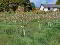 Photo 4 of Adj, To78a Ballyculter Road, Downpatrick