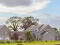 Photo 3 of Old Oaks, 14b Moira Road, Moira